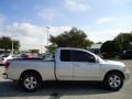 Radiant Silver - Titan SE King Cab Photo No. 12