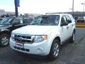 2011 White Suede Ford Escape Limited  photo #1