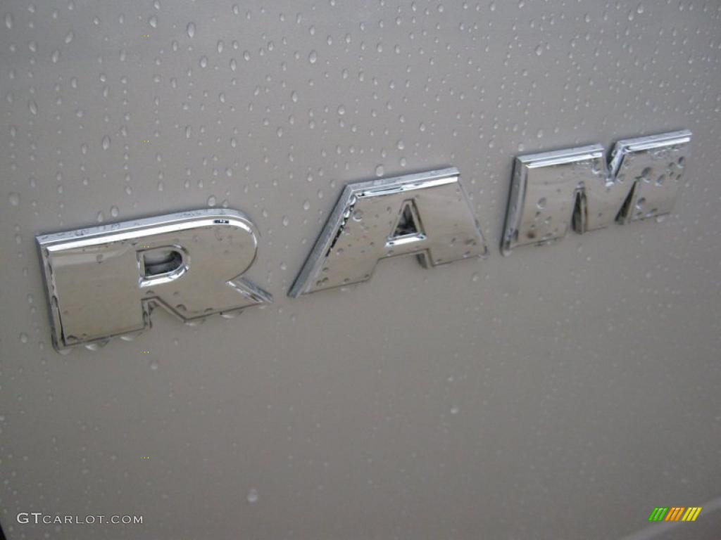 2010 Ram 1500 ST Quad Cab 4x4 - Light Graystone Pearl / Dark Slate/Medium Graystone photo #27
