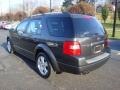 2007 Alloy Metallic Ford Freestyle Limited AWD  photo #2