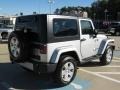 Bright Silver Metallic - Wrangler Sahara 4x4 Photo No. 5