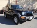 Black Clearcoat 2003 Jeep Liberty Sport