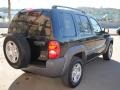 2003 Black Clearcoat Jeep Liberty Sport  photo #7