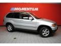 Titanium Silver Metallic - X5 3.0i Photo No. 2
