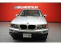 Titanium Silver Metallic - X5 3.0i Photo No. 6