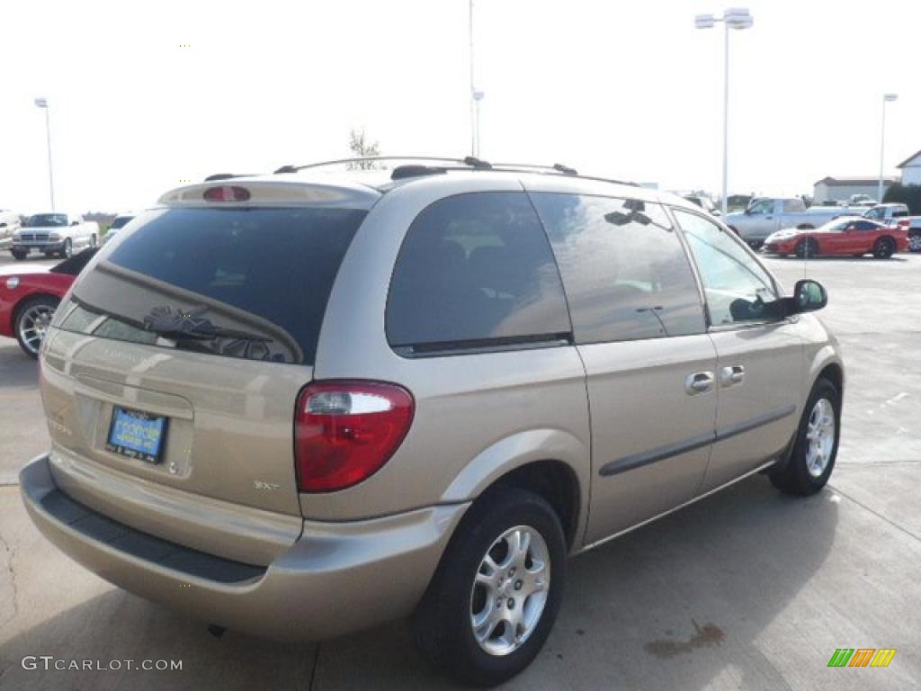 Linen Gold Metallic 2004 Dodge Caravan SXT Exterior Photo #39211166