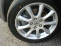 Carbon Gray Pearl - TSX Sedan Photo No. 19