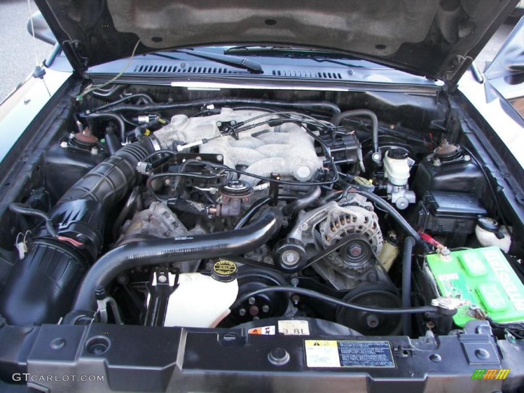 2003 Mustang V6 Coupe - Black / Dark Charcoal/Medium Graphite photo #10