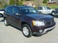 2006 Purple Haze Metallic Pontiac Torrent AWD  photo #1