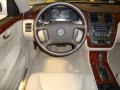 Light Platinum - DTS Sedan Photo No. 26