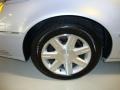 Light Platinum - DTS Sedan Photo No. 29