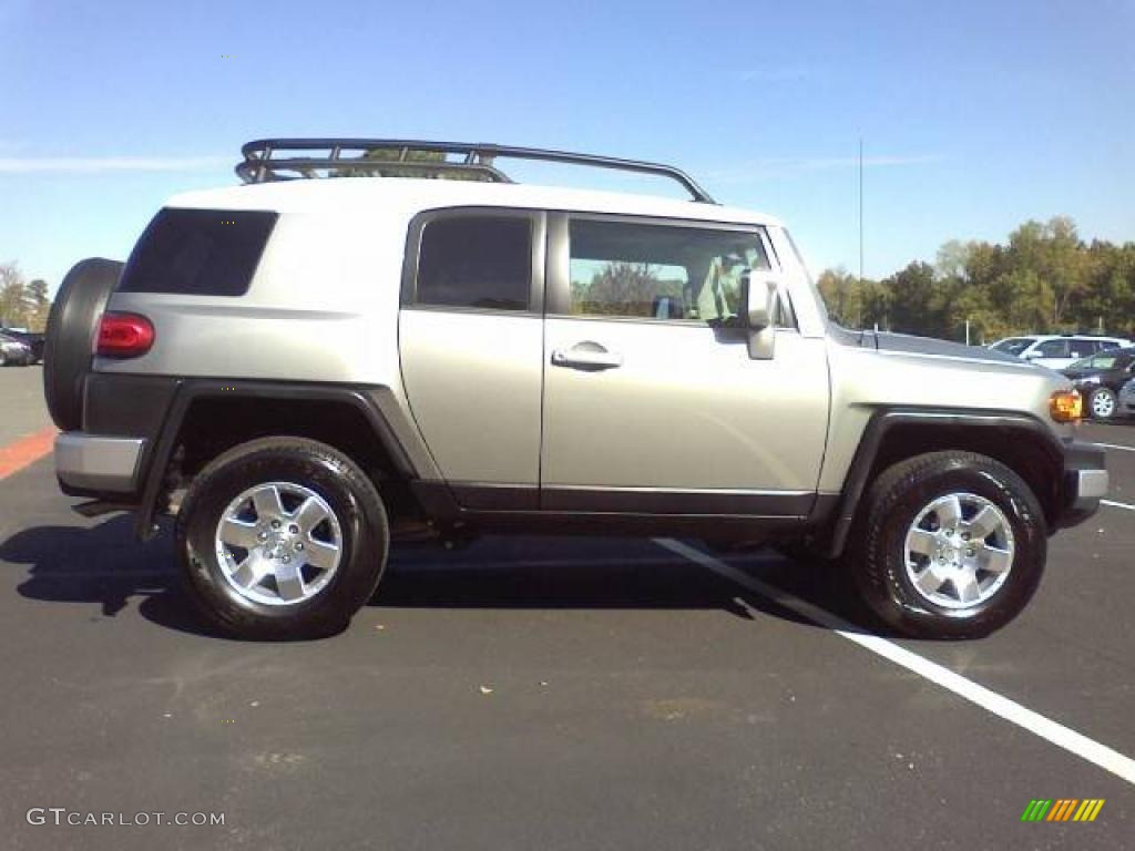 Silver Fresco Metallic 2010 Toyota FJ Cruiser 4WD Exterior Photo #39226630