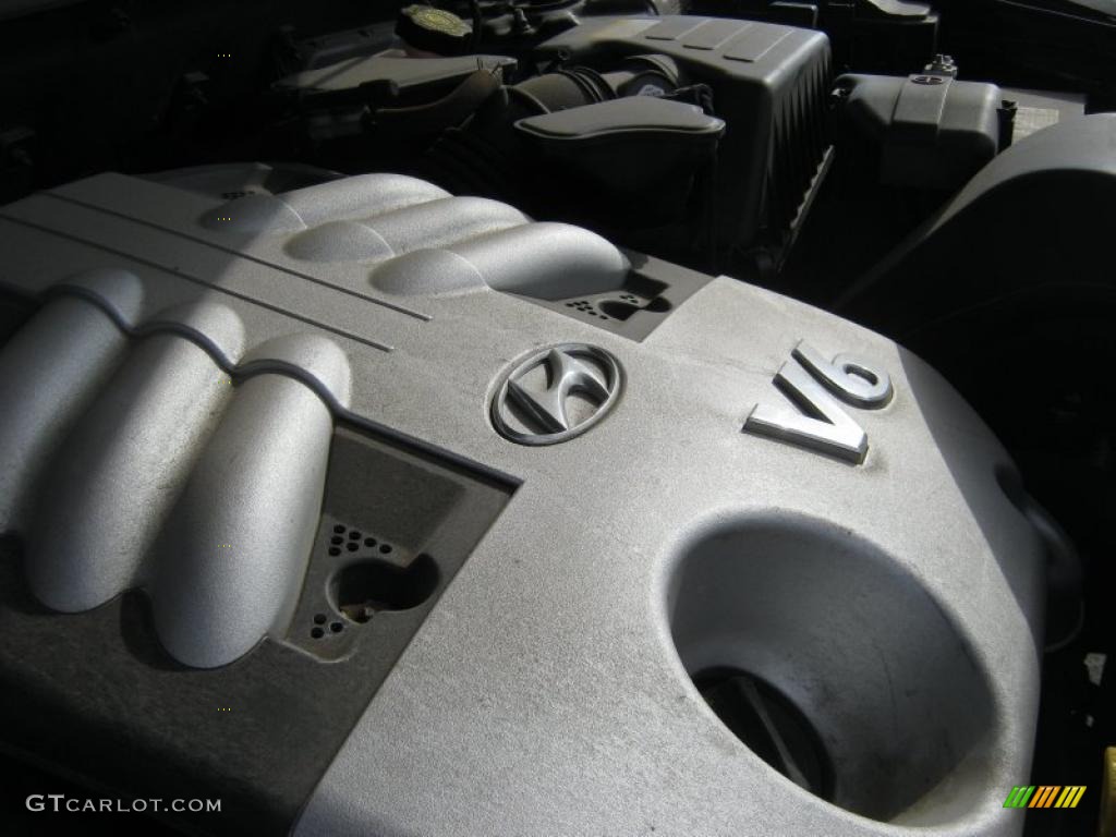 2007 Hyundai Veracruz GLS 3.8 Liter DOHC 24-Valve VVT V6 Engine Photo #39226806