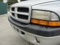 Bright Silver Metallic - Dakota Sport Quad Cab Photo No. 12
