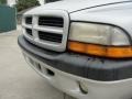 2001 Bright Silver Metallic Dodge Dakota Sport Quad Cab  photo #12