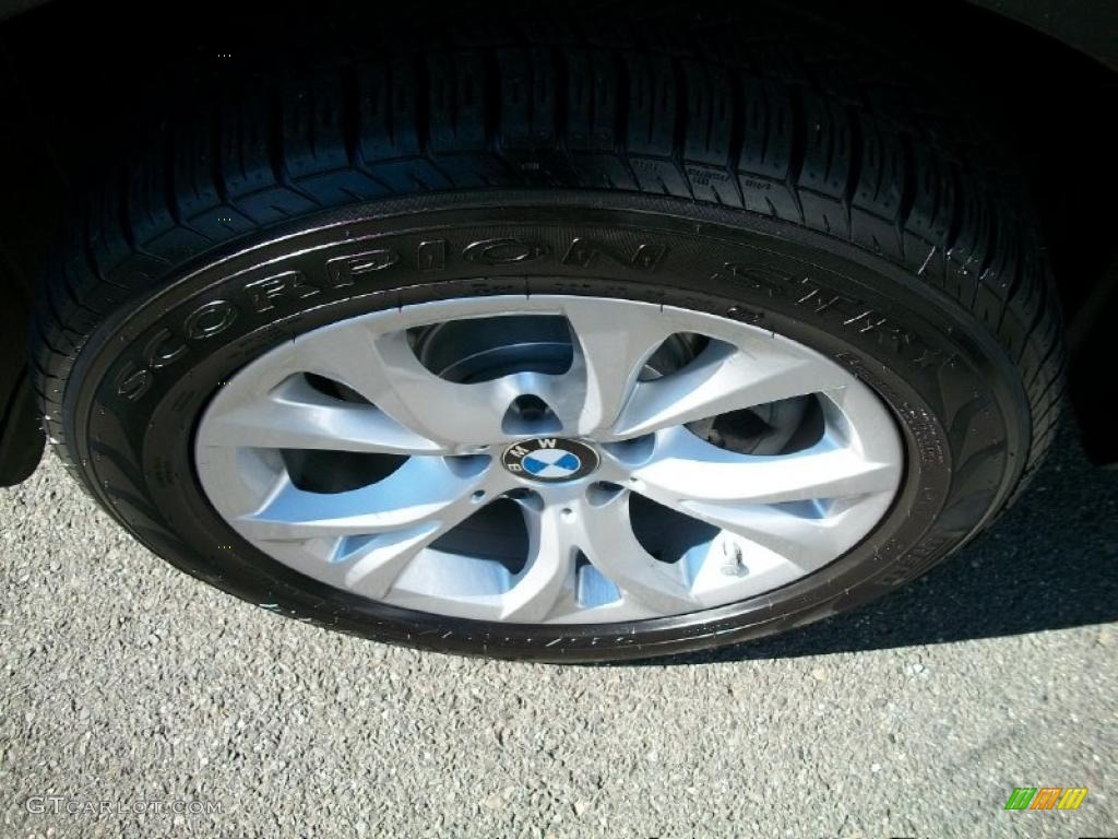 2010 BMW X3 xDrive30i Wheel Photo #39229034