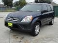 Eternal Blue Pearl - CR-V LX Photo No. 4