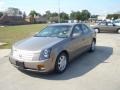 Gold Mist - CTS Sedan Photo No. 2