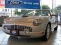 Platinum Silver Metallic - Thunderbird Premium Roadster Photo No. 2