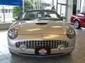 Platinum Silver Metallic - Thunderbird Premium Roadster Photo No. 3