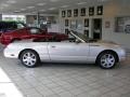 Platinum Silver Metallic - Thunderbird Premium Roadster Photo No. 6