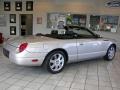 Platinum Silver Metallic - Thunderbird Premium Roadster Photo No. 7