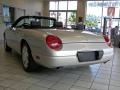 Platinum Silver Metallic - Thunderbird Premium Roadster Photo No. 10