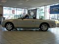 Platinum Silver Metallic - Thunderbird Premium Roadster Photo No. 12