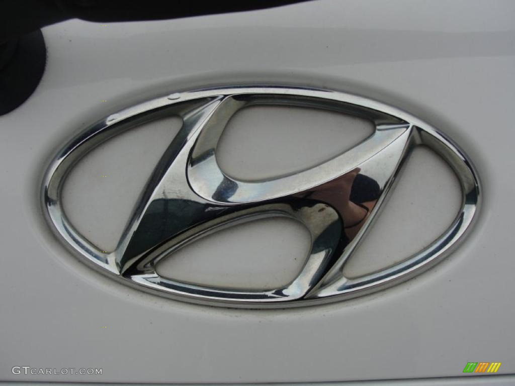 2006 Hyundai Santa Fe GLS Marks and Logos Photo #39232815