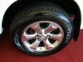 2007 Toyota 4Runner Limited 4x4 Wheel and Tire Photo
