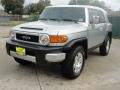 Titanium Metallic - FJ Cruiser 4WD Photo No. 7