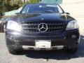 Black - ML 350 4Matic Photo No. 2