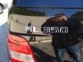 Black - ML 350 4Matic Photo No. 7