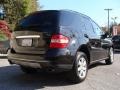 Black - ML 350 4Matic Photo No. 8