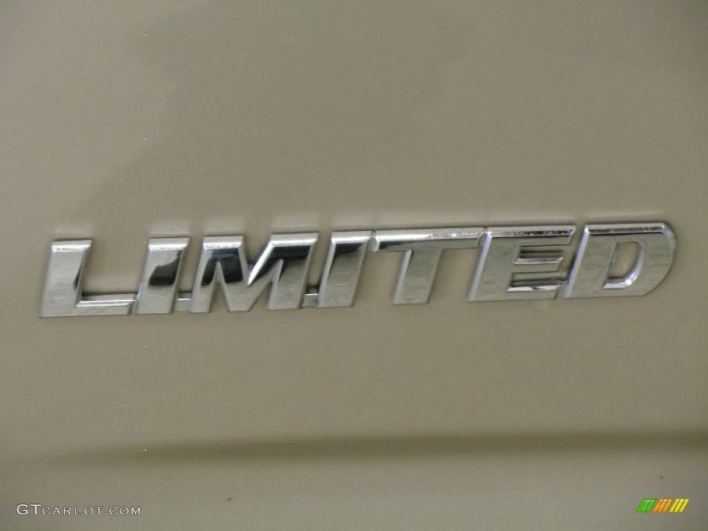 2008 Toyota RAV4 Limited Marks and Logos Photos