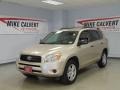 Savannah Metallic - RAV4 4WD Photo No. 1