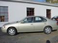 Champagne Metallic - Altima GXE Photo No. 14