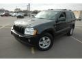 Black - Grand Cherokee Laredo 4x4 Photo No. 4