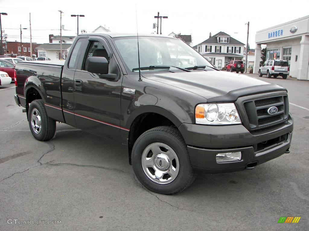 2005 F150 STX Regular Cab 4x4 - Dark Stone Metallic / Medium Flint Grey photo #3