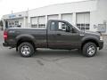 Dark Stone Metallic - F150 STX Regular Cab 4x4 Photo No. 4