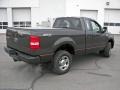 Dark Stone Metallic - F150 STX Regular Cab 4x4 Photo No. 5