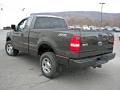 Dark Stone Metallic - F150 STX Regular Cab 4x4 Photo No. 7