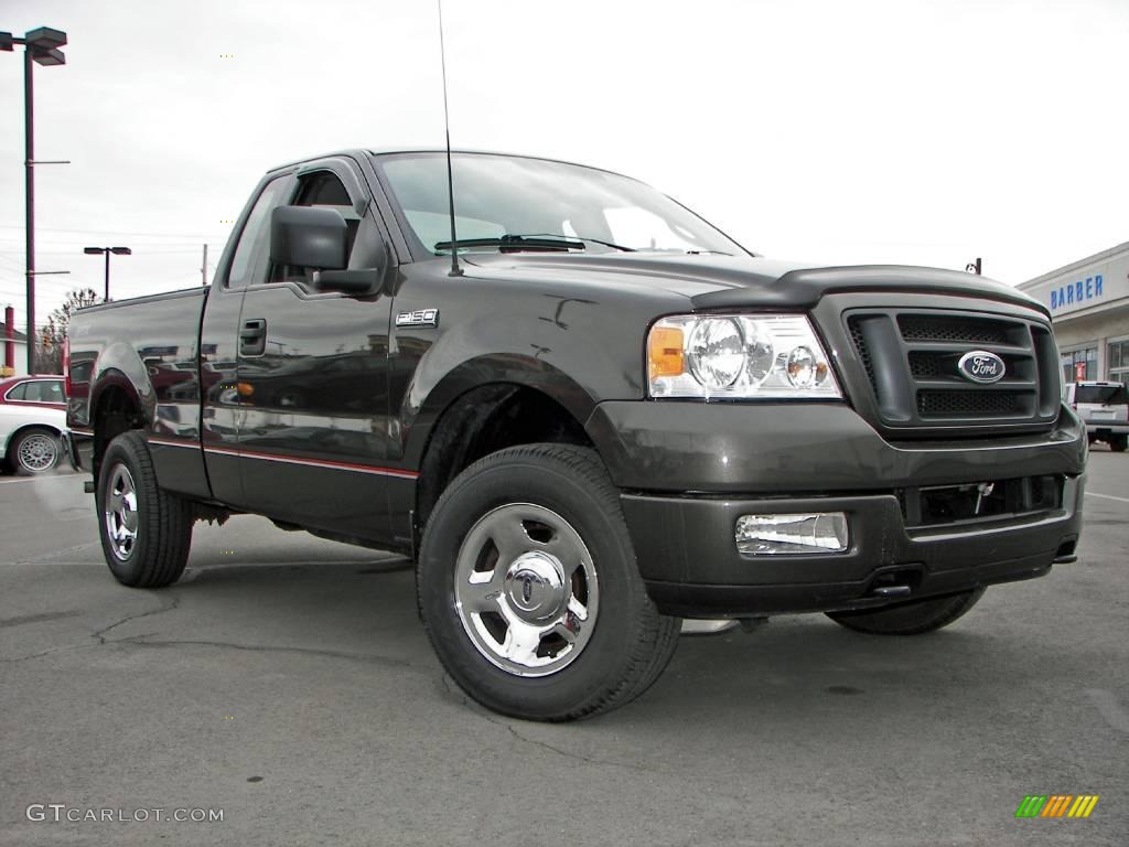 2005 F150 STX Regular Cab 4x4 - Dark Stone Metallic / Medium Flint Grey photo #24