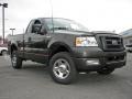 2005 Dark Stone Metallic Ford F150 STX Regular Cab 4x4  photo #24