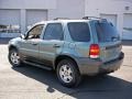 2006 Titanium Green Metallic Ford Escape XLT V6 4WD  photo #7