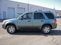 2006 Titanium Green Metallic Ford Escape XLT V6 4WD  photo #8