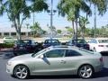 Sahara Silver Metallic - A5 3.2 quattro Coupe Photo No. 7