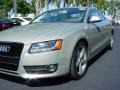 Sahara Silver Metallic - A5 3.2 quattro Coupe Photo No. 8