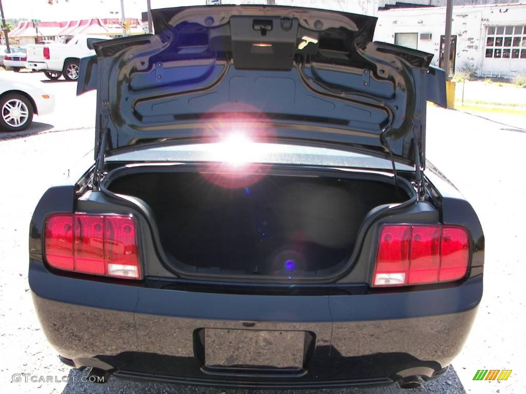 2006 Mustang GT Deluxe Coupe - Black / Dark Charcoal photo #19