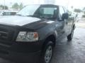 Dark Shadow Grey Metallic - F150 XL Regular Cab Photo No. 4